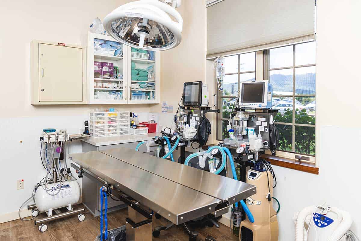 Our surgical suite Our surgical suite