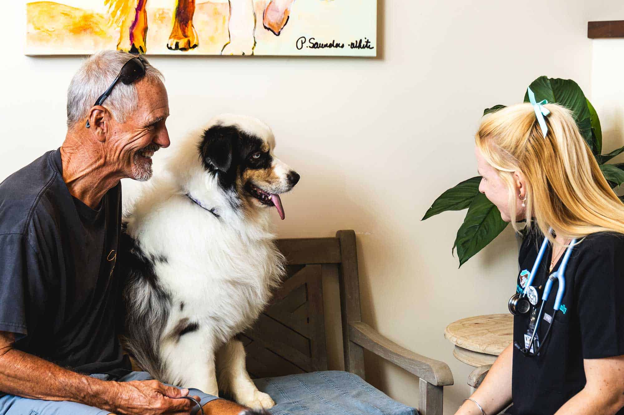 Puppy with their human meeting our staff