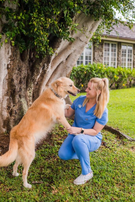 Emily , Lead Veterinary Assistant Emily , Lead Veterinary Assistant