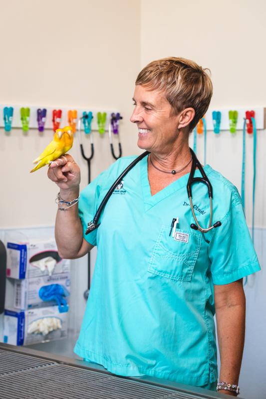 Cindy Moreaux, Medical Director Cindy Moreaux, Medical Director