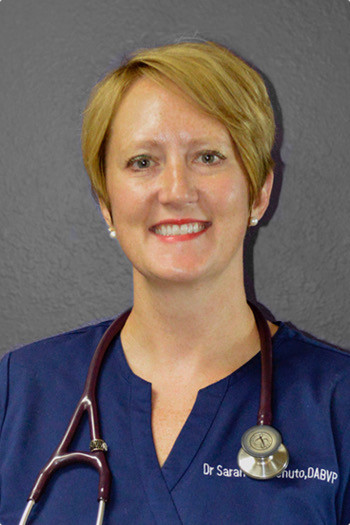 Sarah Carotenuto, DVM, DABVP (C/F), Veterinarian